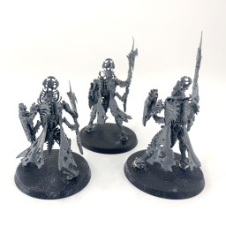 Immortis Guard