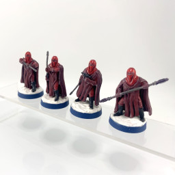 Imperial Royal Guards VF