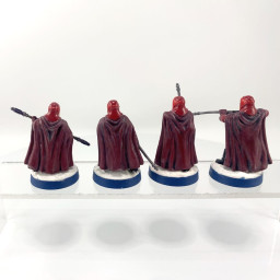 Imperial Royal Guards VF