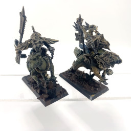 cavaliers saurus conversion