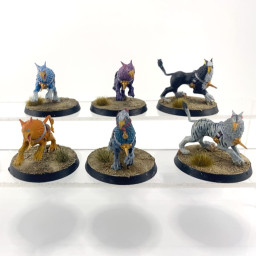 Gryph-hounds