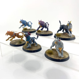 Gryph-hounds