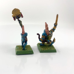 Skinks Command group