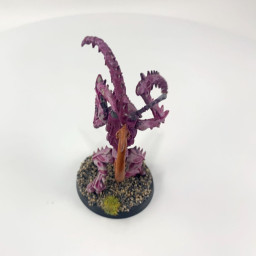 Lictor