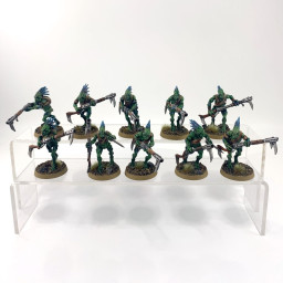 Kroot Carnivore Squad