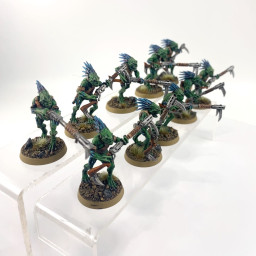 Kroot Carnivore Squad