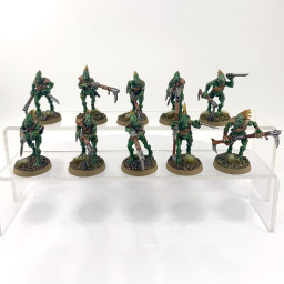 Kroot Carnivore Squad