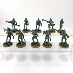 Kroot Carnivore Squad