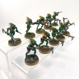 Kroot Carnivore Squad