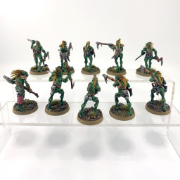 Kroot Carnivore Squad