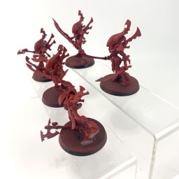 Wraithguards