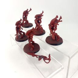 Wraithguards