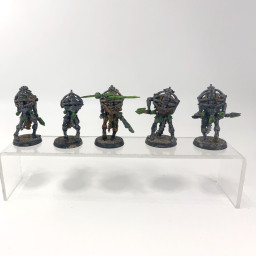 Lychguard incomplet conversion