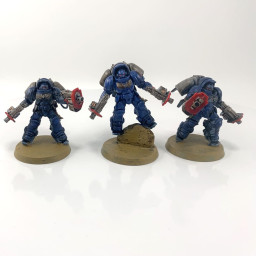 Primaris inceptors