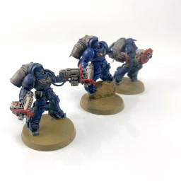 Primaris inceptors