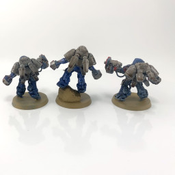 Primaris inceptors