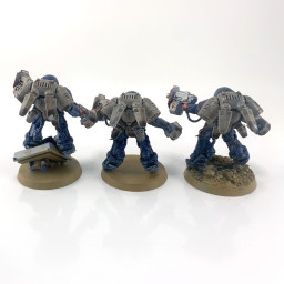 Primaris inceptors