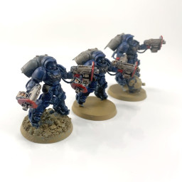 Primaris inceptors