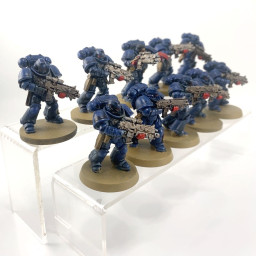 Primaris intercessors