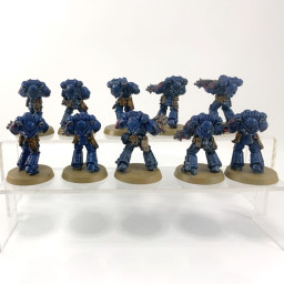 Primaris intercessors