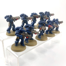 Primaris intercessors