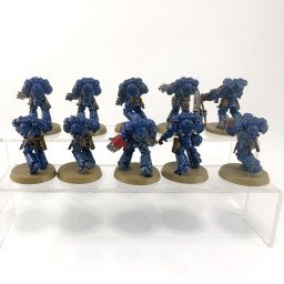 Primaris intercessors