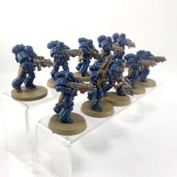 Primaris intercessors