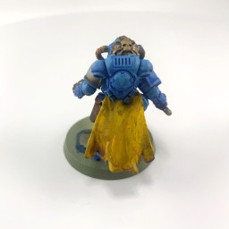 Primaris Librarian conversion