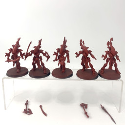 Wraithguards