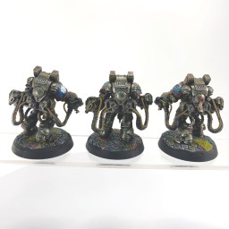 Primaris aggressors