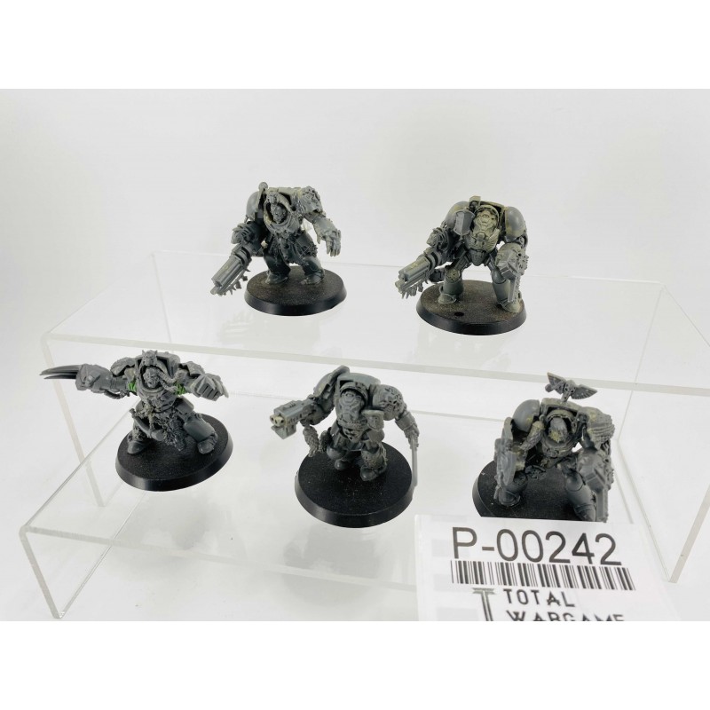 Wolf Guard Terminators