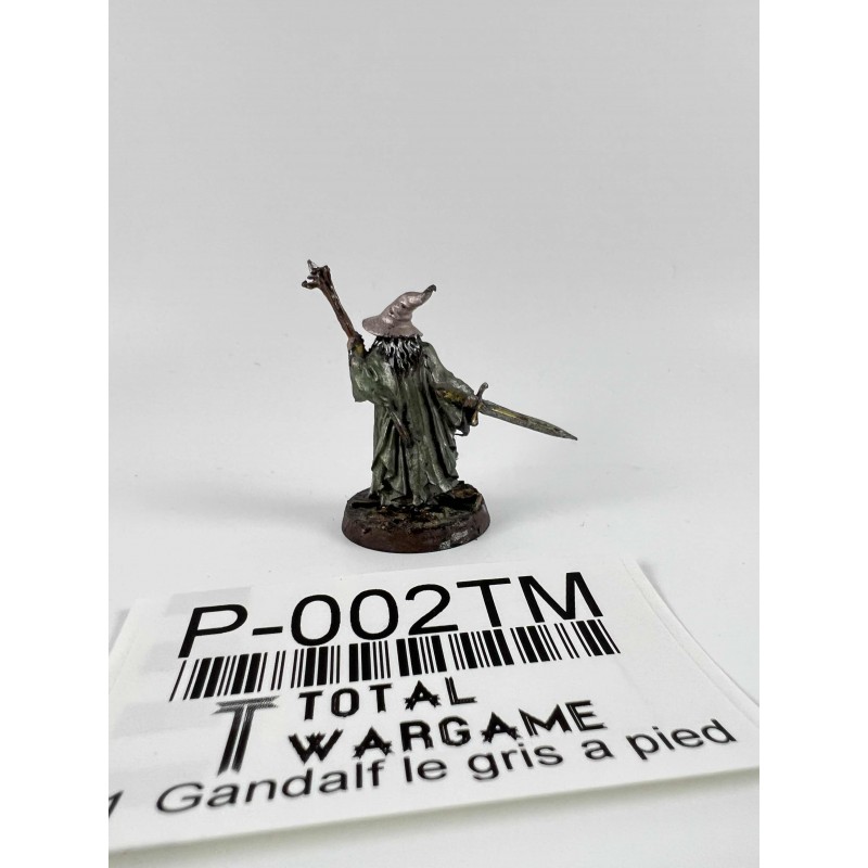 Gandalf le gris à pied