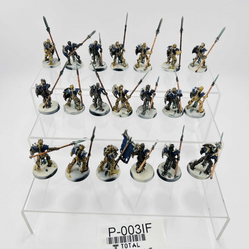 Mortek Guards